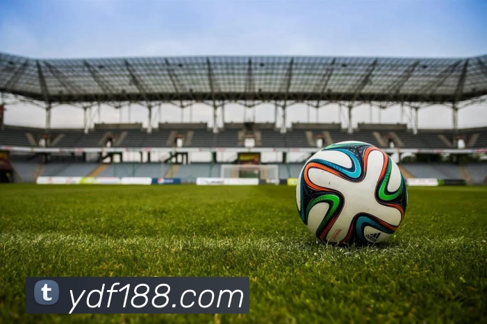 壹定发官网服务体系